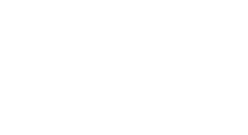 IRTESS LOGO