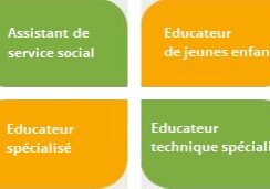 4_petales_grade_licence 4_petales_grade_licence